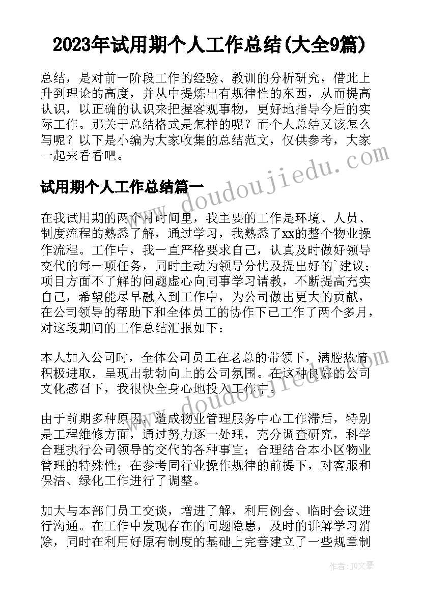 2023年试用期个人工作总结(大全9篇)