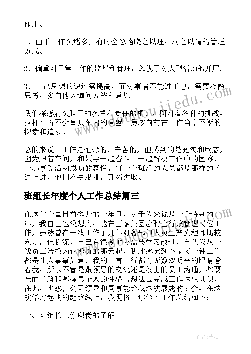 班组长年度个人工作总结(优秀5篇)