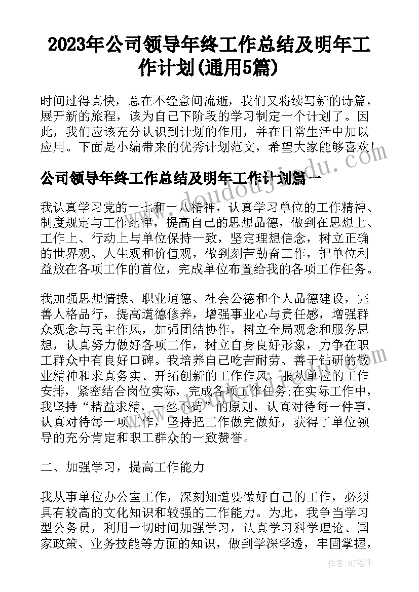 2023年公司领导年终工作总结及明年工作计划(通用5篇)