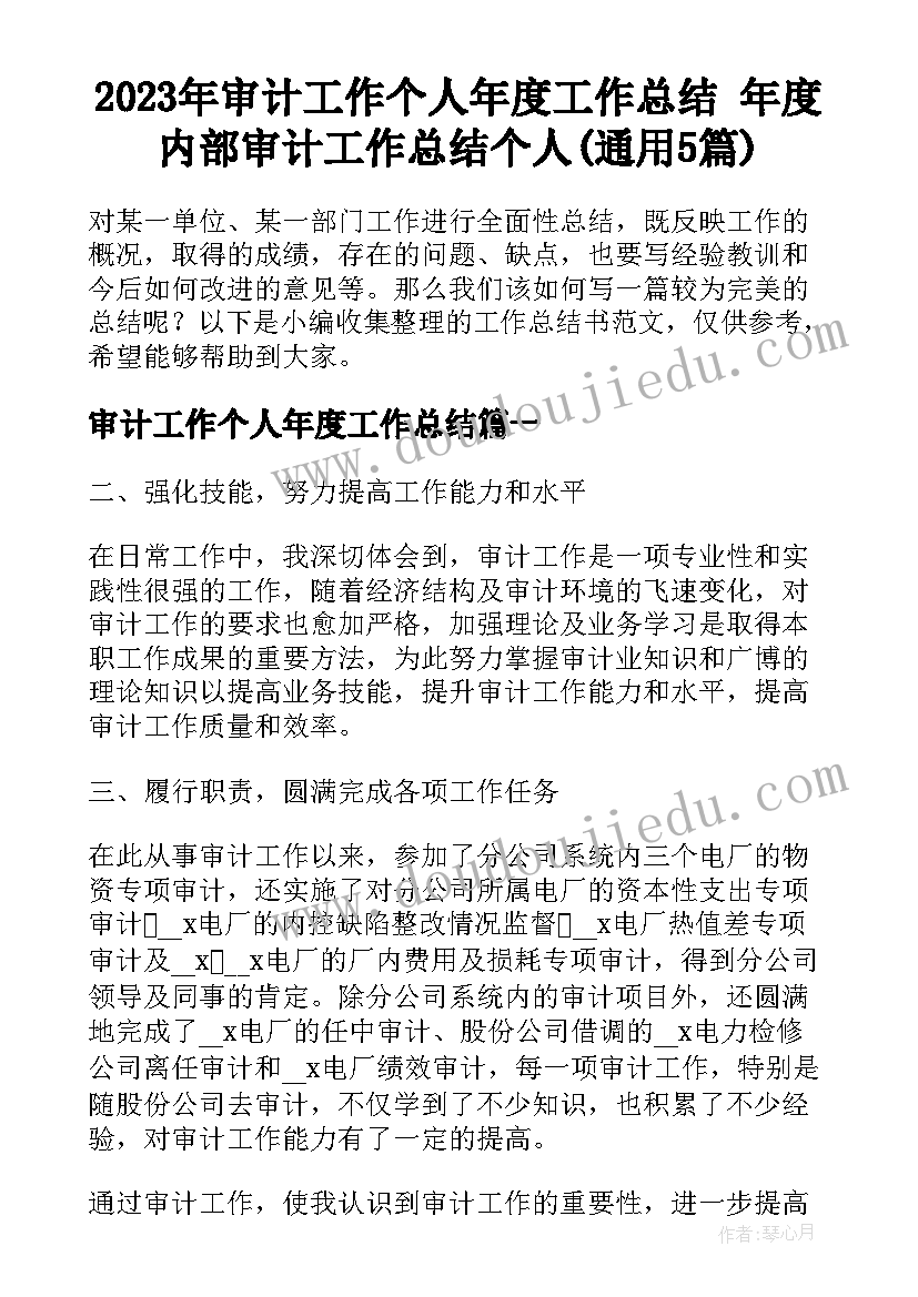 2023年审计工作个人年度工作总结 年度内部审计工作总结个人(通用5篇)