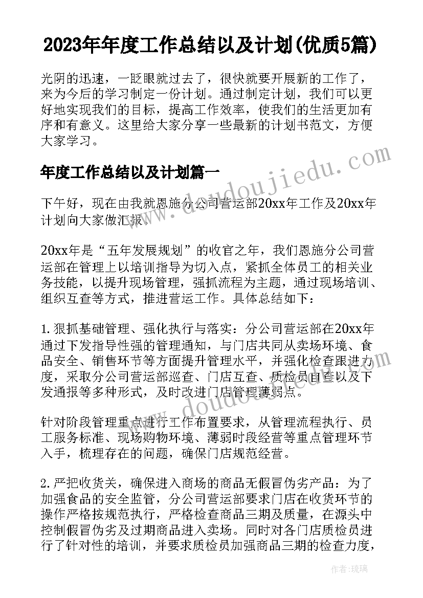 2023年年度工作总结以及计划(优质5篇)