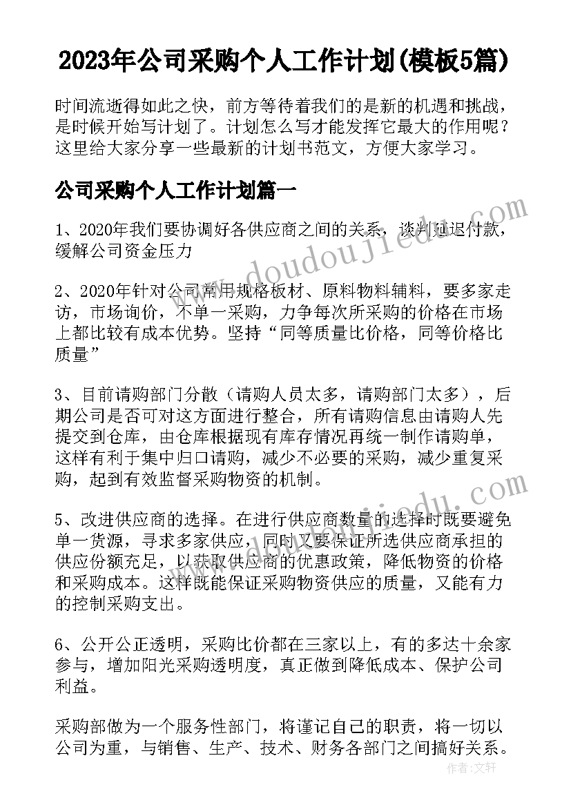 2023年公司采购个人工作计划(模板5篇)