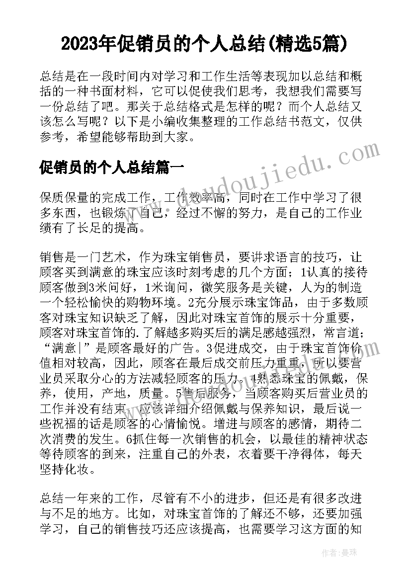 2023年促销员的个人总结(精选5篇)