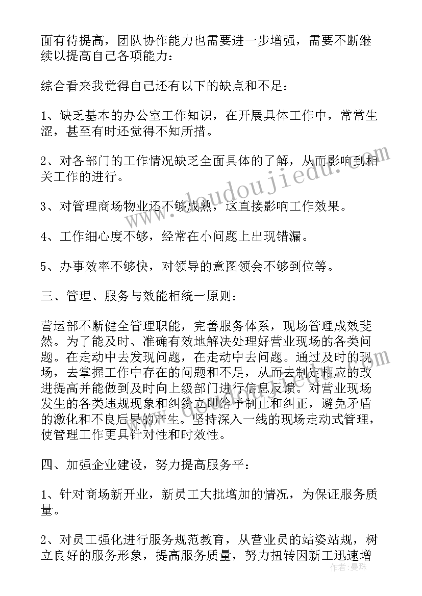 2023年促销员的个人总结(精选5篇)