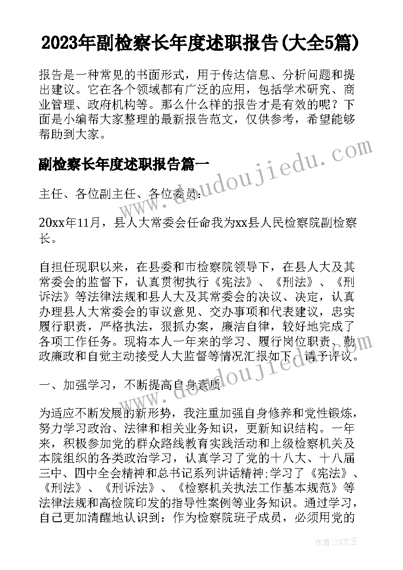 2023年副检察长年度述职报告(大全5篇)