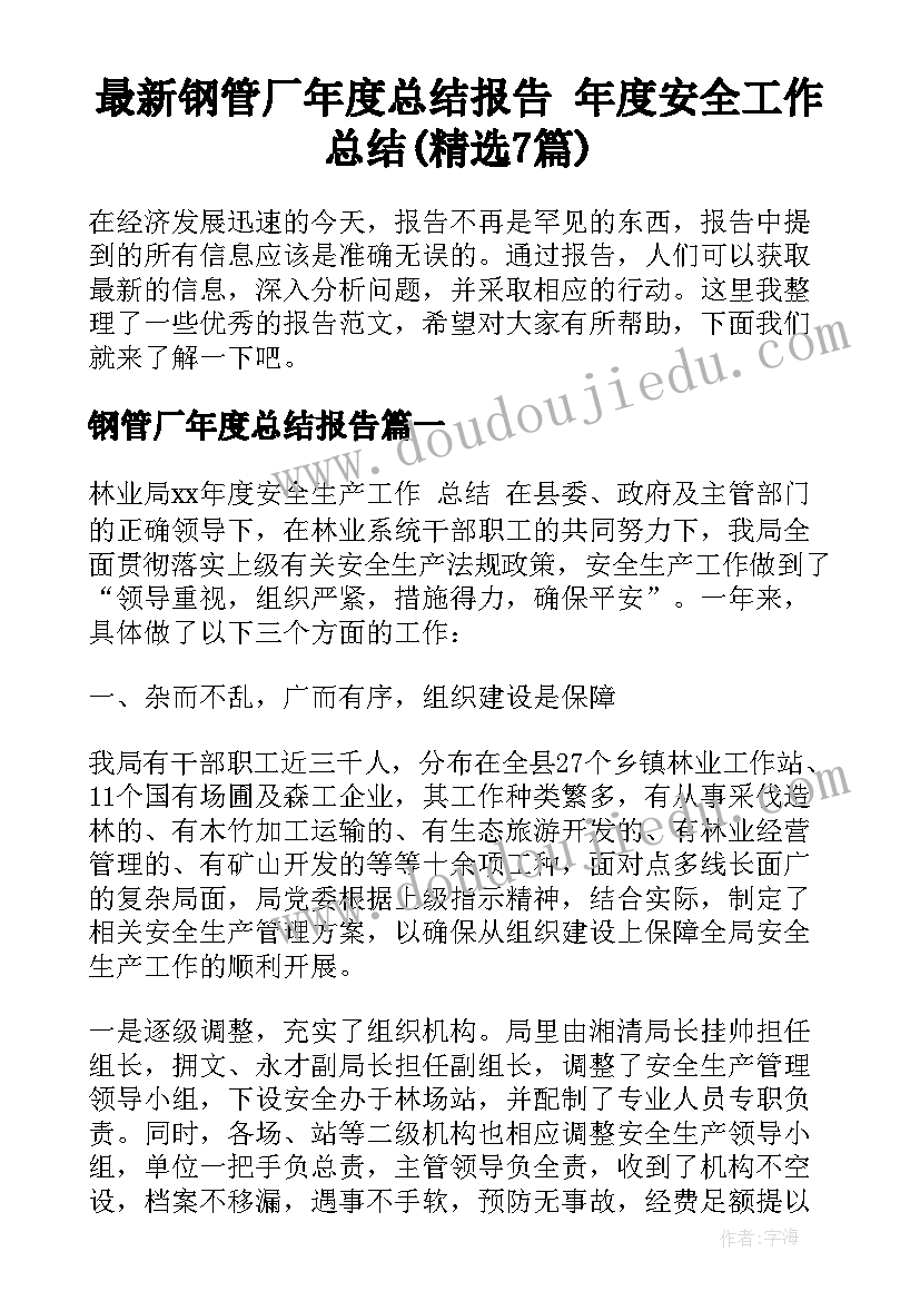 最新钢管厂年度总结报告 年度安全工作总结(精选7篇)