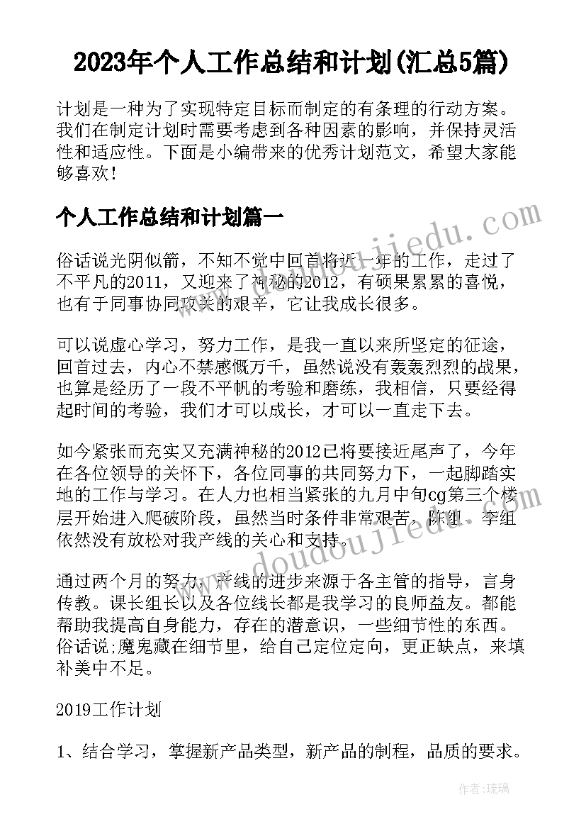 2023年个人工作总结和计划(汇总5篇)