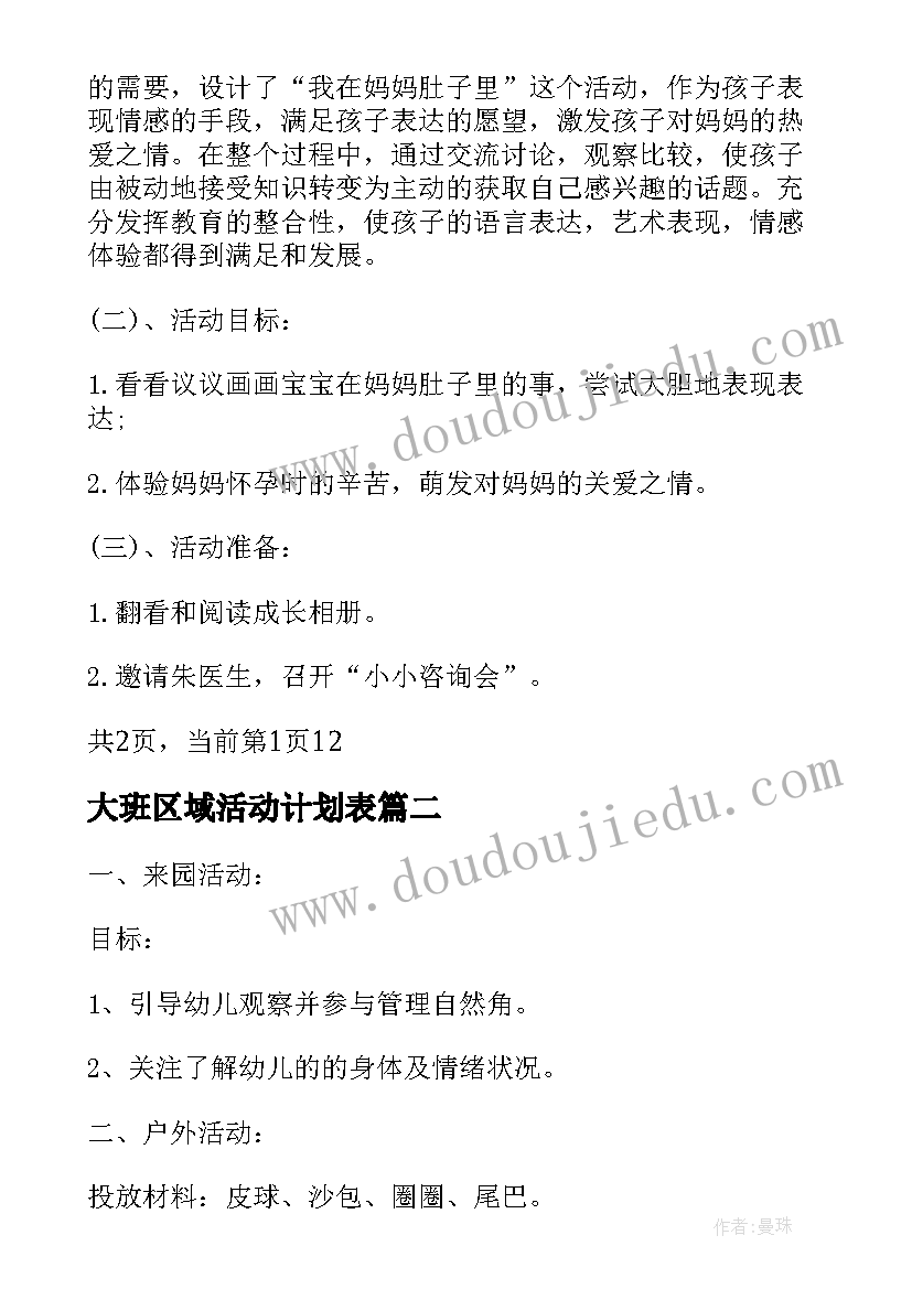 2023年大班区域活动计划表(优秀5篇)