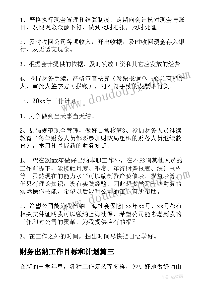 2023年财务出纳工作目标和计划(精选10篇)