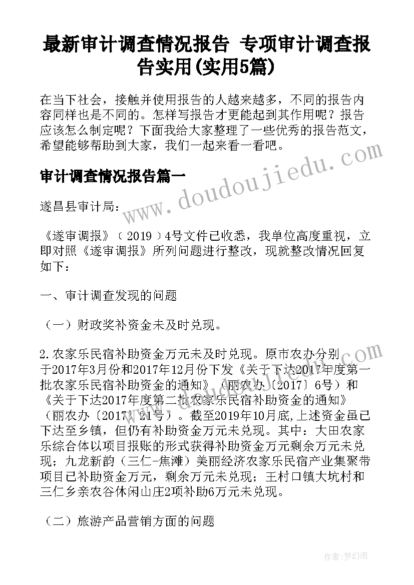 最新审计调查情况报告 专项审计调查报告实用(实用5篇)