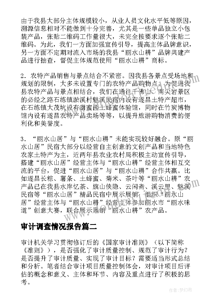 最新审计调查情况报告 专项审计调查报告实用(实用5篇)