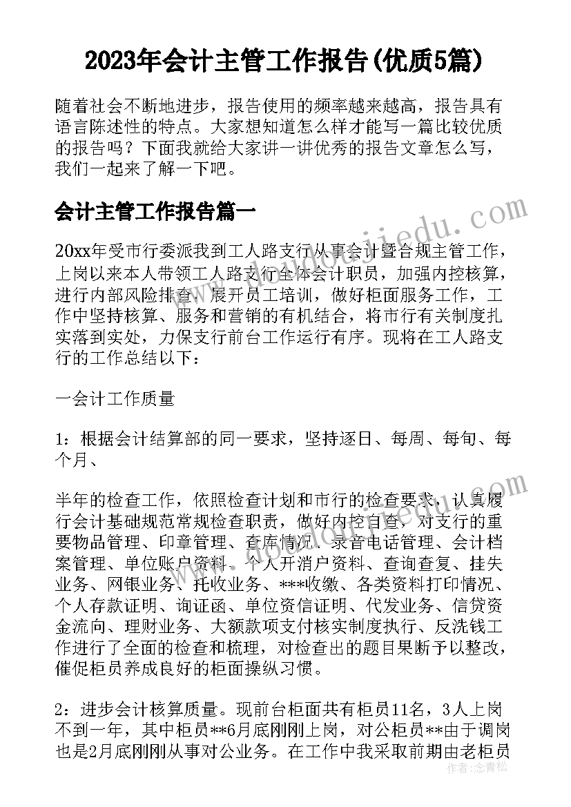 2023年会计主管工作报告(优质5篇)