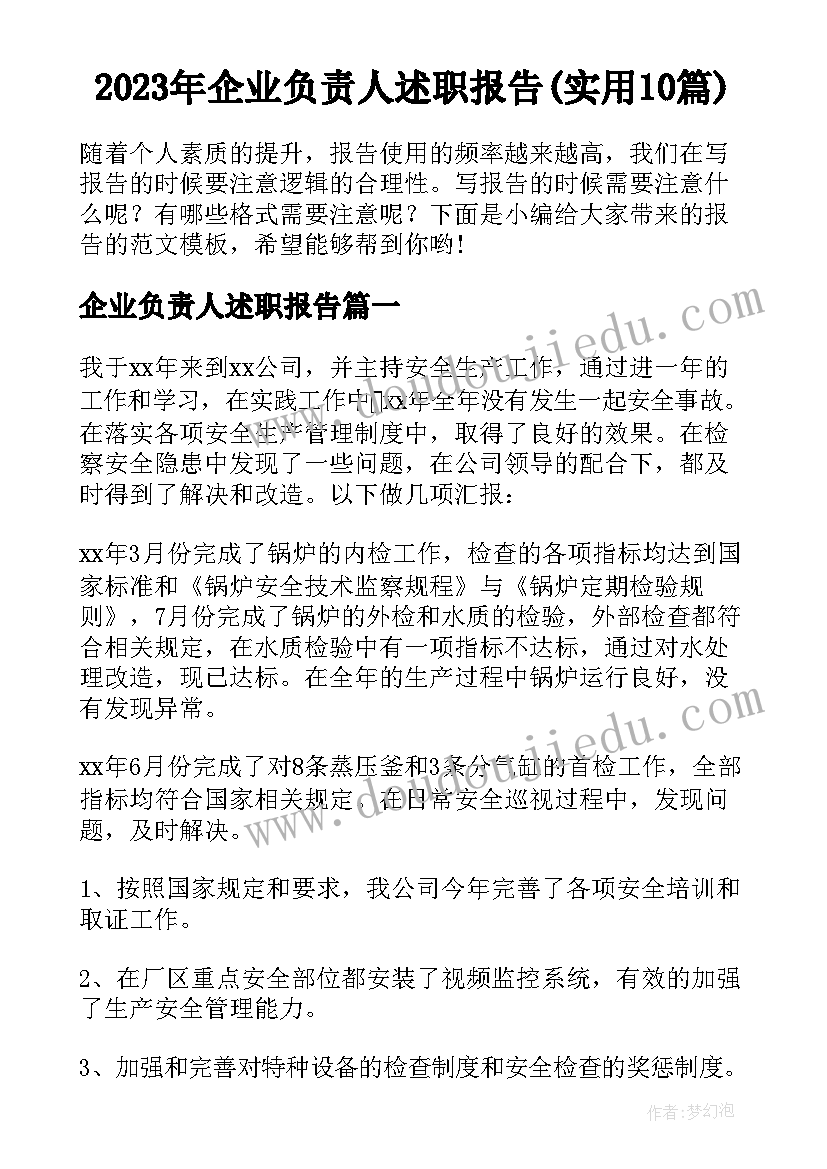 2023年企业负责人述职报告(实用10篇)