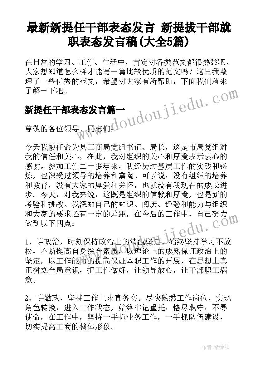 最新新提任干部表态发言 新提拔干部就职表态发言稿(大全5篇)