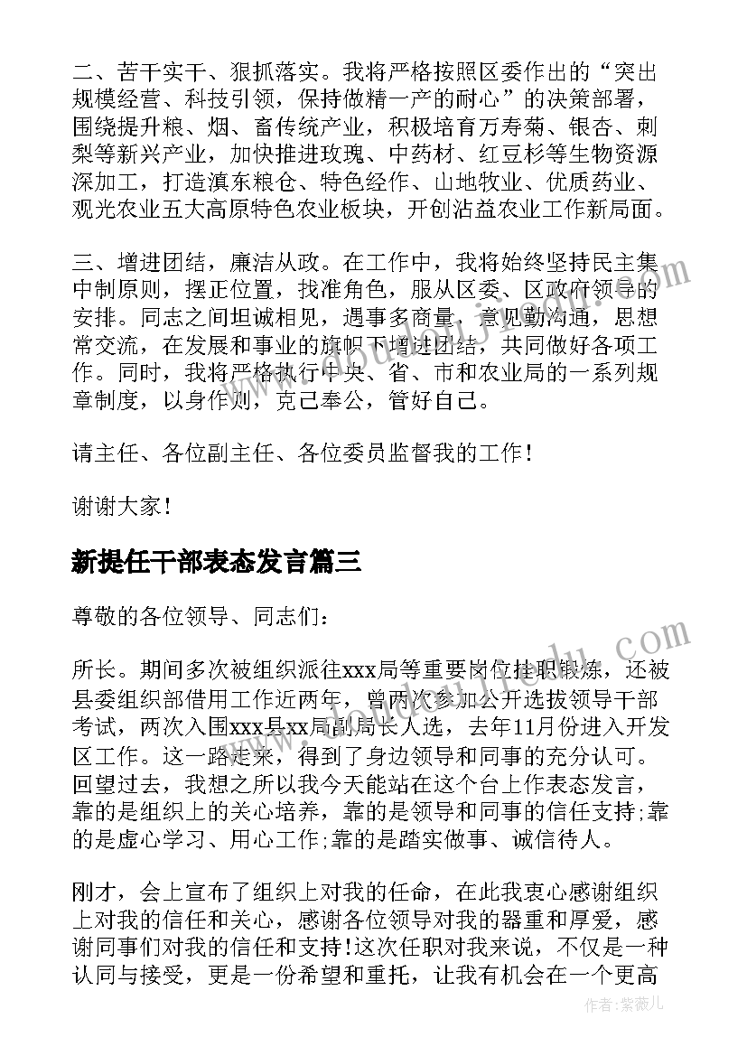 最新新提任干部表态发言 新提拔干部就职表态发言稿(大全5篇)