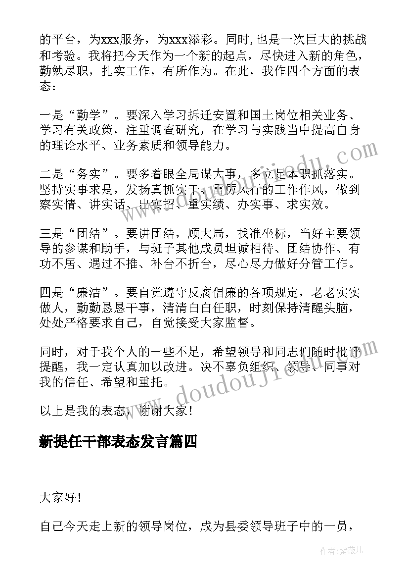 最新新提任干部表态发言 新提拔干部就职表态发言稿(大全5篇)