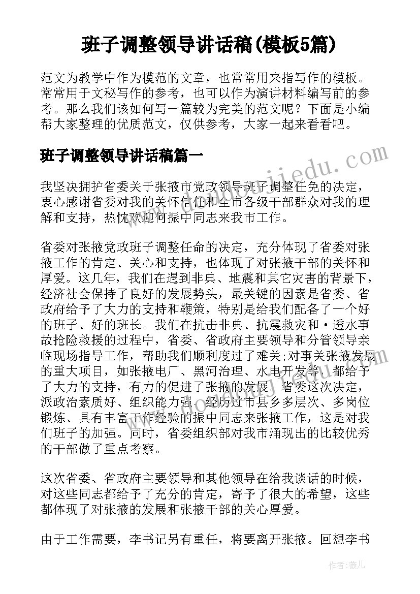 班子调整领导讲话稿(模板5篇)