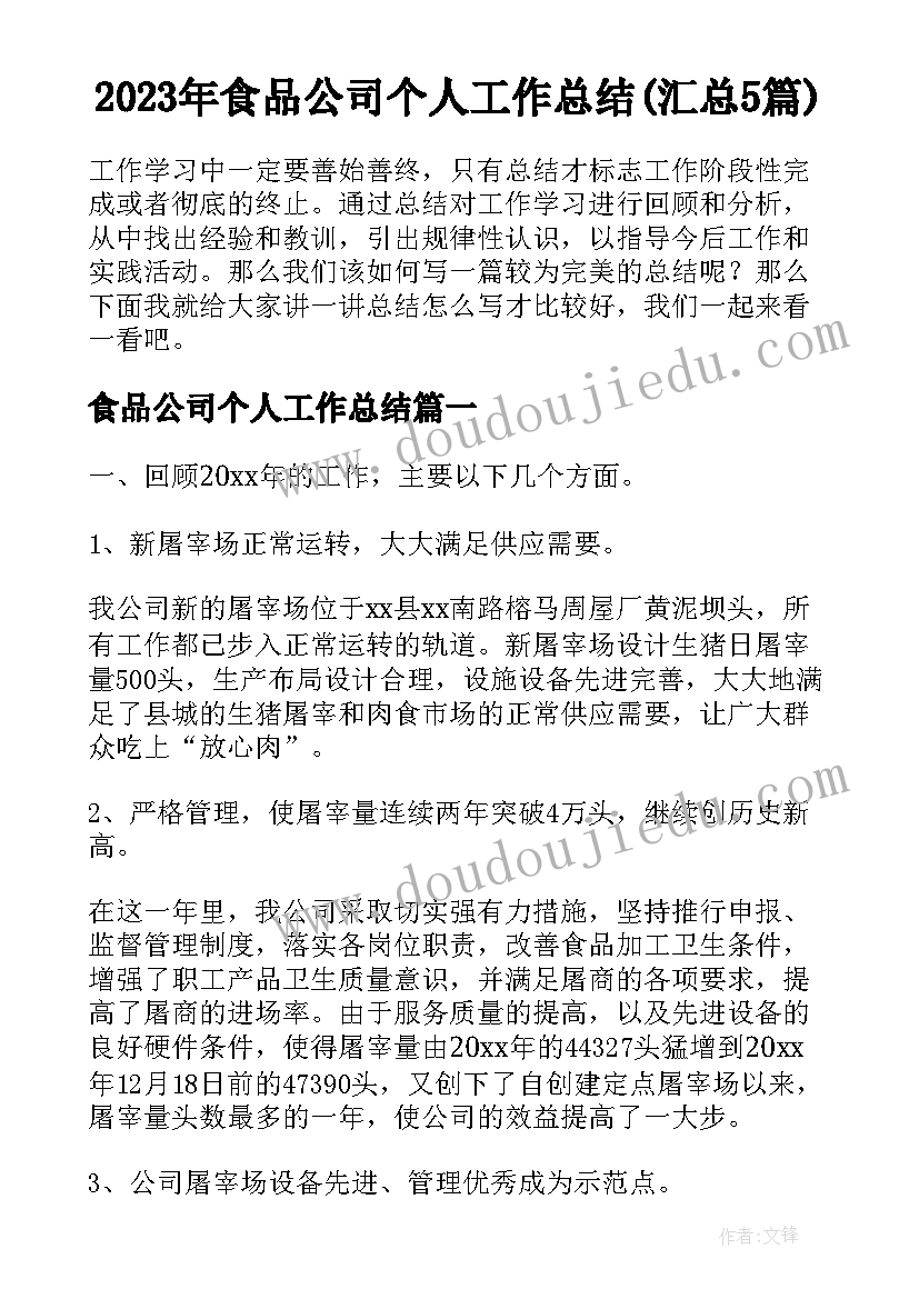 2023年食品公司个人工作总结(汇总5篇)