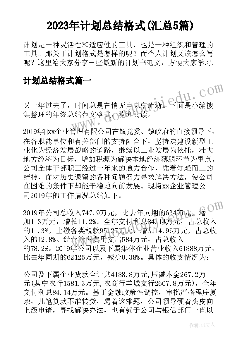 2023年计划总结格式(汇总5篇)