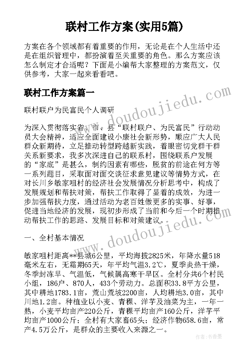 联村工作方案(实用5篇)