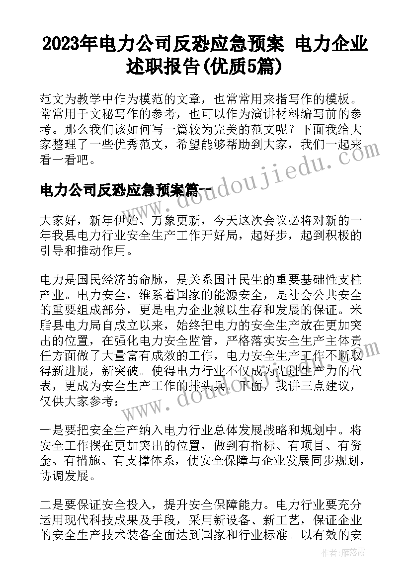 2023年电力公司反恐应急预案 电力企业述职报告(优质5篇)