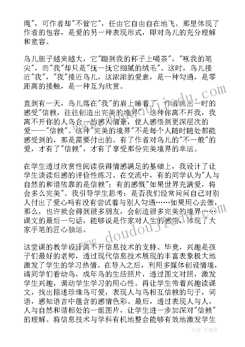 珍珠泉教案 珍珠鸟教学反思(实用6篇)