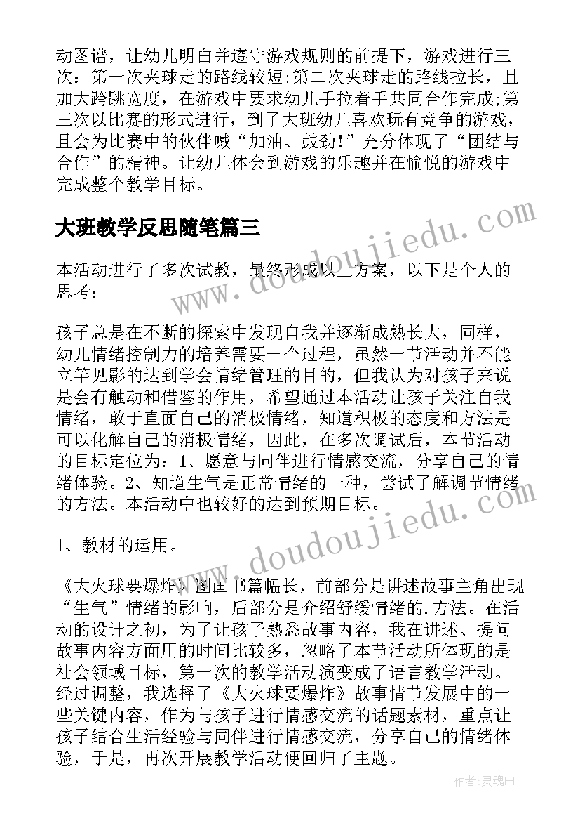 大班教学反思随笔(精选6篇)