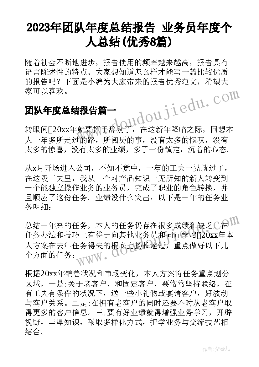 2023年团队年度总结报告 业务员年度个人总结(优秀8篇)