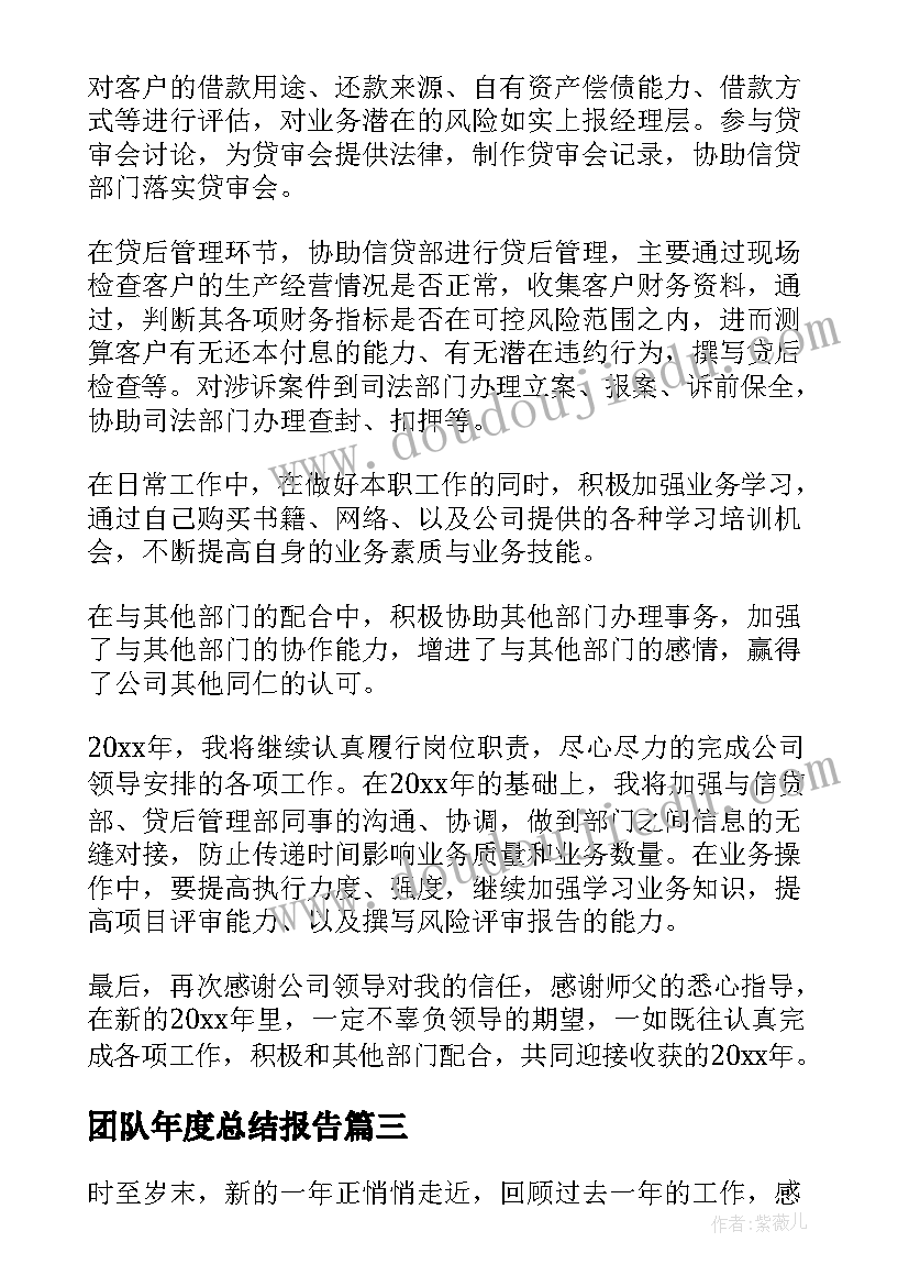 2023年团队年度总结报告 业务员年度个人总结(优秀8篇)