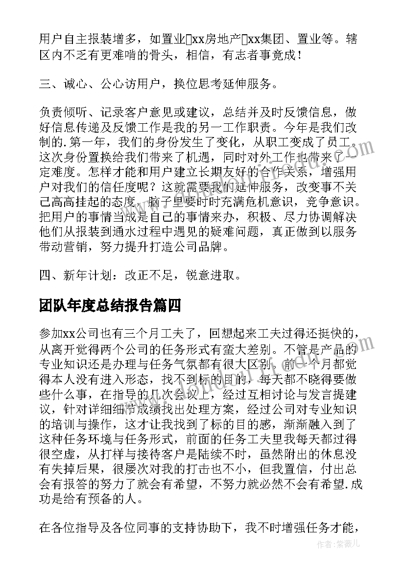 2023年团队年度总结报告 业务员年度个人总结(优秀8篇)