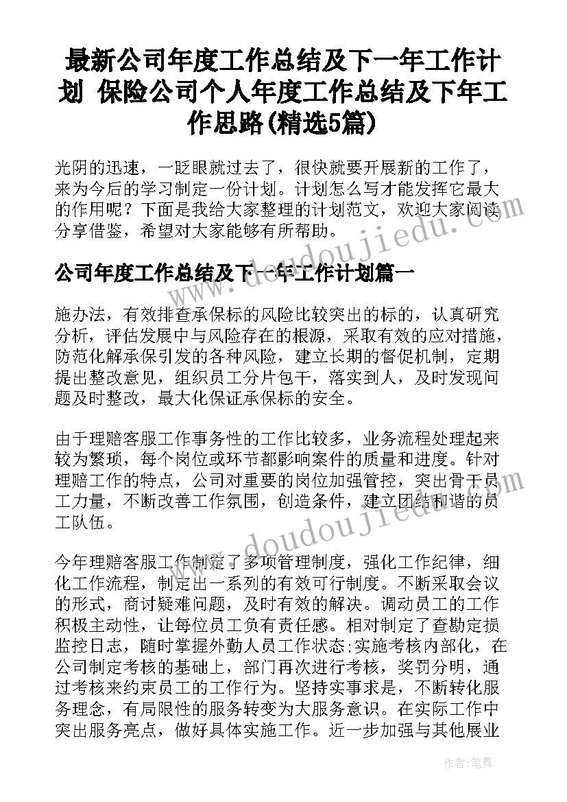 最新公司年度工作总结及下一年工作计划 保险公司个人年度工作总结及下年工作思路(精选5篇)