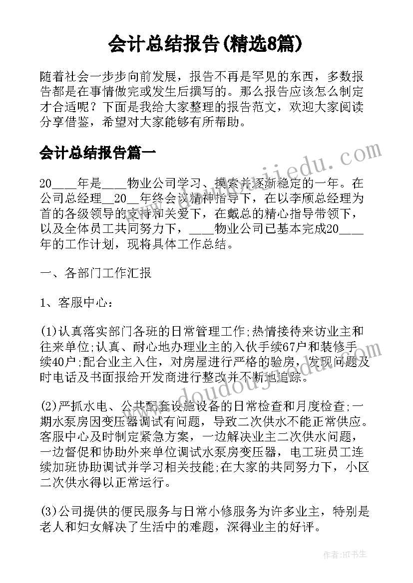 会计总结报告(精选8篇)