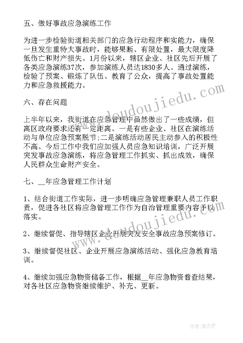 乡镇应急办主任个人工作总结(模板5篇)