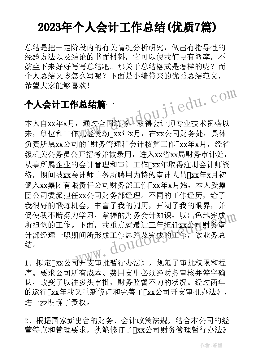 2023年个人会计工作总结(优质7篇)