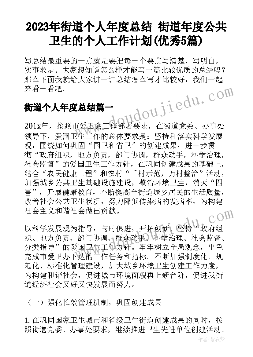 2023年街道个人年度总结 街道年度公共卫生的个人工作计划(优秀5篇)