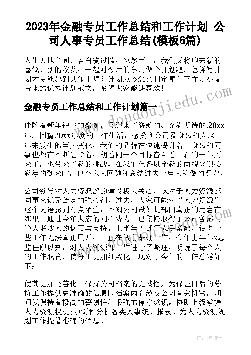 2023年金融专员工作总结和工作计划 公司人事专员工作总结(模板6篇)