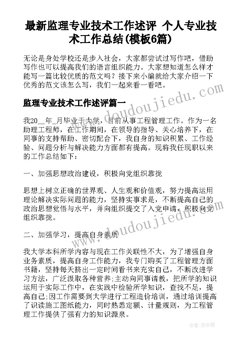 最新监理专业技术工作述评 个人专业技术工作总结(模板6篇)