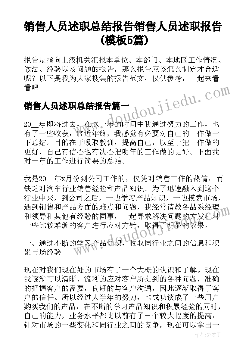 销售人员述职总结报告 销售人员述职报告(模板5篇)