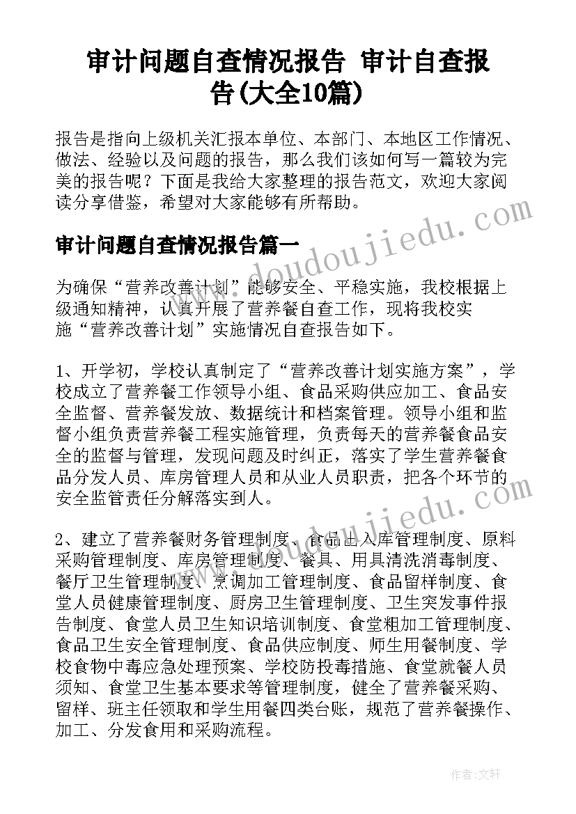 审计问题自查情况报告 审计自查报告(大全10篇)