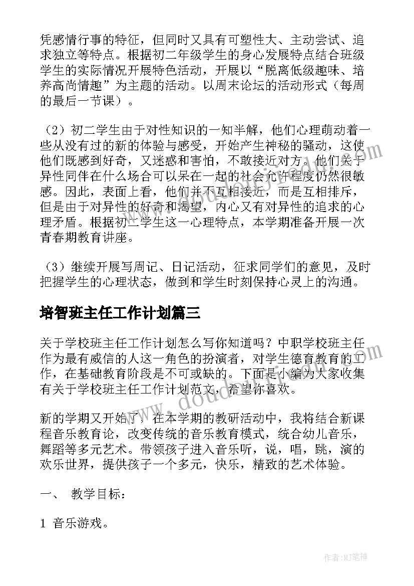 2023年培智班主任工作计划(大全9篇)