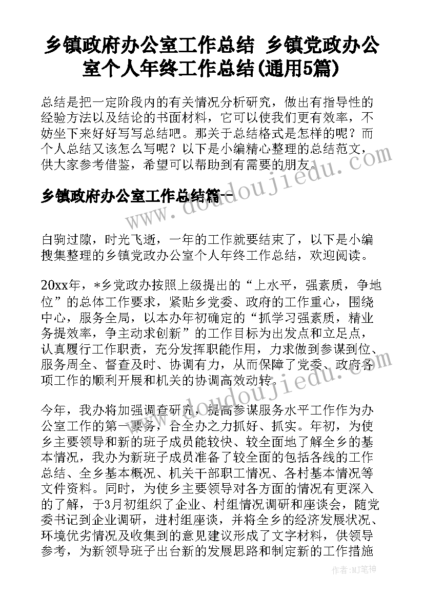 乡镇政府办公室工作总结 乡镇党政办公室个人年终工作总结(通用5篇)