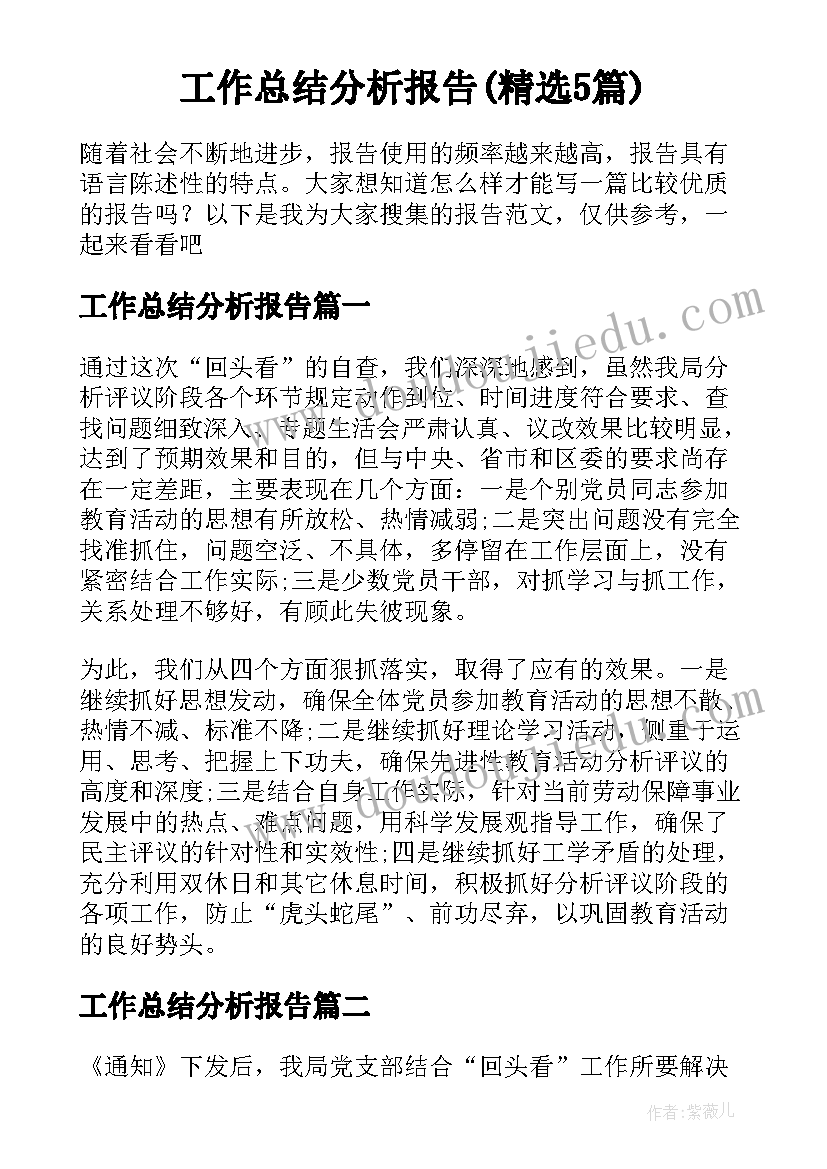 工作总结分析报告(精选5篇)