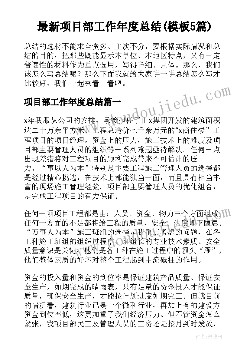 最新项目部工作年度总结(模板5篇)