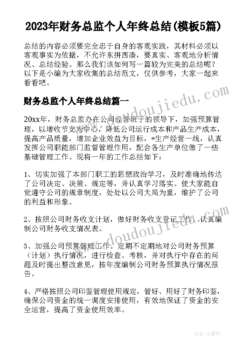 2023年财务总监个人年终总结(模板5篇)