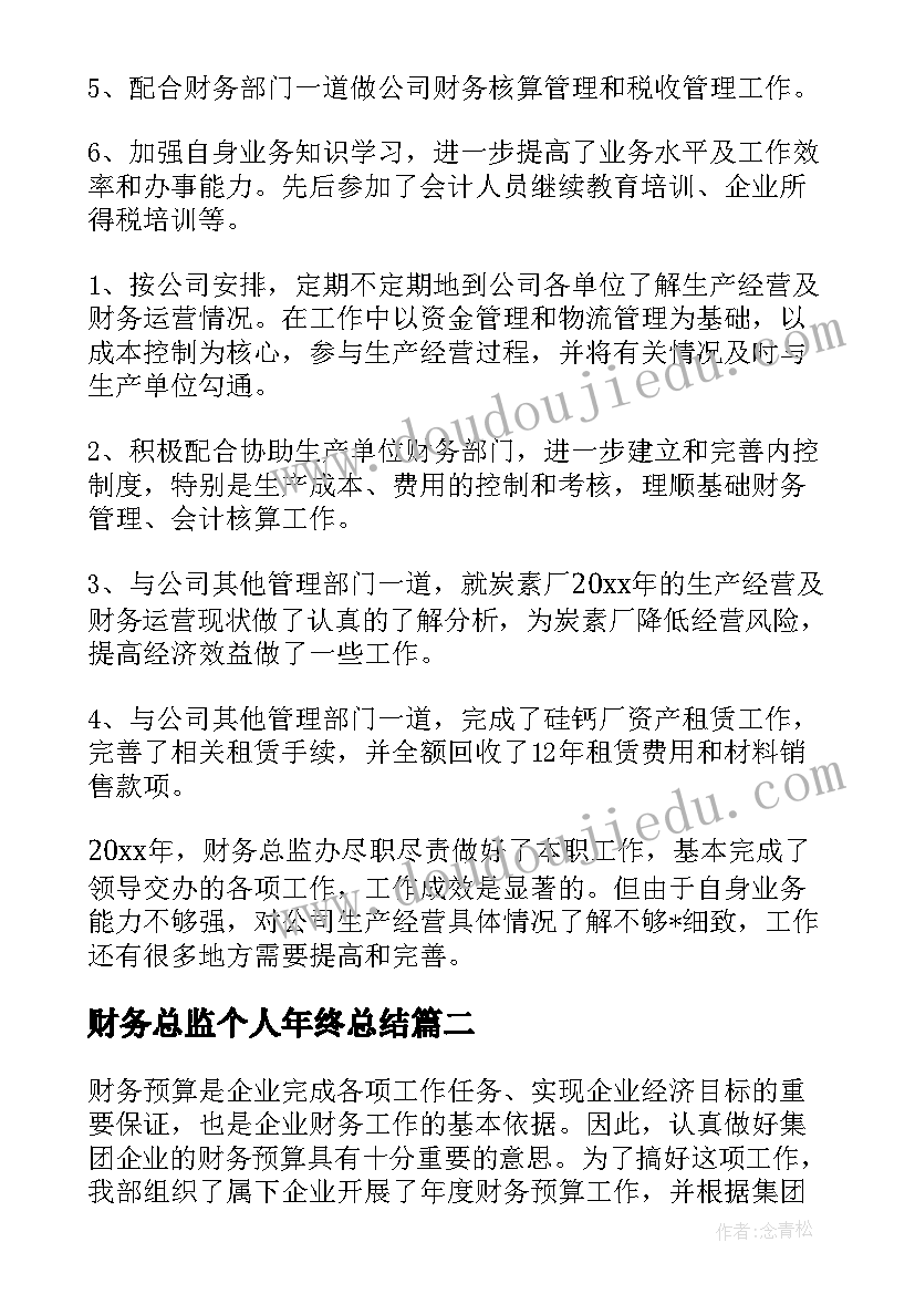 2023年财务总监个人年终总结(模板5篇)