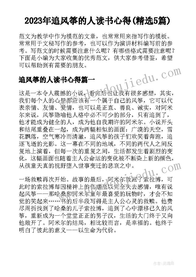 2023年追风筝的人读书心得(精选5篇)