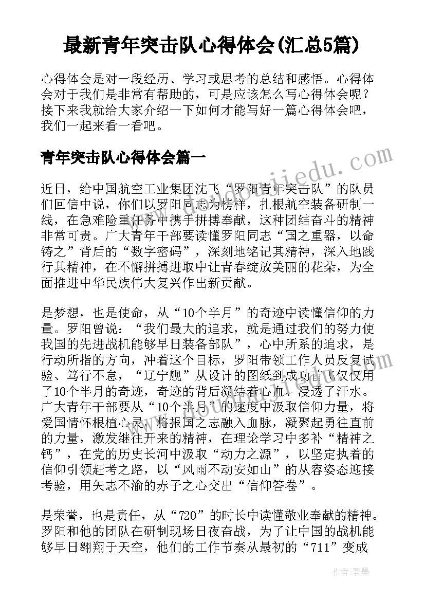 最新青年突击队心得体会(汇总5篇)