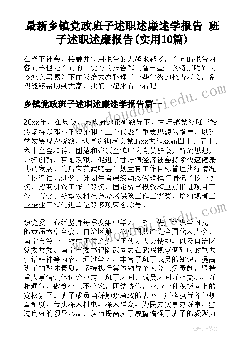 最新乡镇党政班子述职述廉述学报告 班子述职述廉报告(实用10篇)