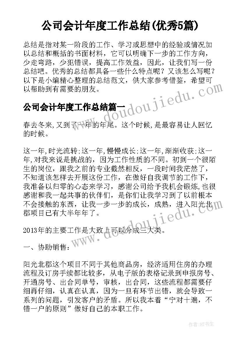 公司会计年度工作总结(优秀5篇)