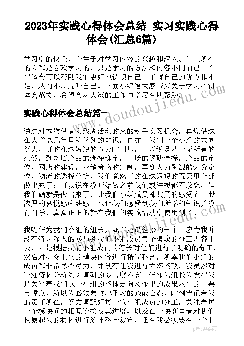 2023年实践心得体会总结 实习实践心得体会(汇总6篇)